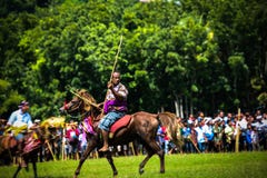 Juegos tradicionales de Pasola, isla de Sumba fotografía de archivo libre de regalías Juegos tradicionales de Pasola, isla de Sumba fotografía de archivo libre de regalías