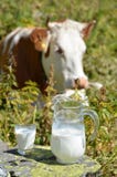 Jug Of Milk Royalty Free Stock Photos Jug Of Milk Royalty Free Stock Photos
