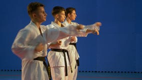 Jugendliche, die lochendes Training des Karate für kata üben stock video Jugendliche, die lochendes Training des Karate für kata üben stock video