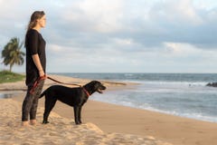 Jugendlicher und ihr Hund auf dem Strand stockfotografie Jugendlicher und ihr Hund auf dem Strand stockfotografie