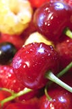 Juicy Berry Mix Royalty Free Stock Photos Juicy Berry Mix Royalty Free Stock Photos