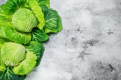 Juicy λάχανο κραμπολάχανου στοκ εικόνες Juicy λάχανο κραμπολάχανου στοκ εικόνες