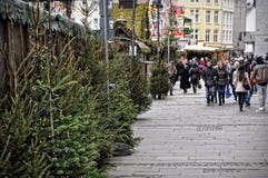 Julgranar på försäljning och övergående folk på marknaden i Cologne royaltyfri foto Julgranar på försäljning och övergående folk på marknaden i Cologne royaltyfri foto