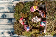 Juljulkrubba med den heliga familjen i kojan och de tre kloka männen av gammal wood bakgrund royaltyfria bilder Juljulkrubba med den heliga familjen i kojan och de tre kloka männen av gammal wood bakgrund royaltyfria bilder
