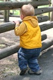 Junge, der durch hölzernen Zaun schaut lizenzfreie stockfotos Junge, der durch hölzernen Zaun schaut lizenzfreie stockfotos