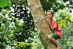 Junge, der einen Baum steigt stockfotografie Junge, der einen Baum steigt stockfotografie