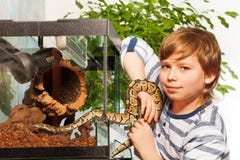 Junge, der kleine königliche Pythonschlange hält stockfotografie Junge, der kleine königliche Pythonschlange hält stockfotografie