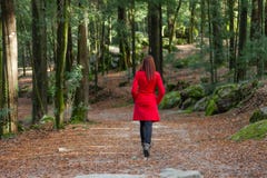Junge Frau, die allein auf einen Wald geht lizenzfreie stockfotos Junge Frau, die allein auf einen Wald geht lizenzfreie stockfotos