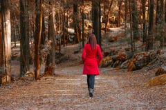 Junge Frau, die weg allein auf einen Waldweg geht stockbild Junge Frau, die weg allein auf einen Waldweg geht stockbild