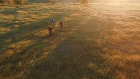 Junge Leute, die auf Fahrräder durch grünes und gelbes Sommerwiesenfeld radfahren stock footage Junge Leute, die auf Fahrräder durch grünes und gelbes Sommerwiesenfeld radfahren stock footage
