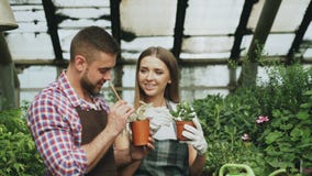 Junge nette Frau im Schutzblech und Handschuhe lösen Boden in der Blume und im Plaudern seines Freundes im Gewächshaus stockfotografie Junge nette Frau im Schutzblech und Handschuhe lösen Boden in der Blume und im Plaudern seines Freundes im Gewächshaus stockfotografie