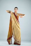 Junge traditionelle asiatische indische Frau im indischen Sari stockfotos Junge traditionelle asiatische indische Frau im indischen Sari stockfotos