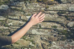 Junge weibliche Handrührende Wand stockfotografie Junge weibliche Handrührende Wand stockfotografie
