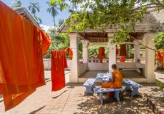 Junger buddhistischer Mönch studiert nahe bei den orange Messröcken, die heraus in die Sonne ausgedehnt werden, um in Luang Praba stockfotos Junger buddhistischer Mönch studiert nahe bei den orange Messröcken, die heraus in die Sonne ausgedehnt werden, um in Luang Praba stockfotos