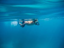 Junger Mann, der mit Maske und Flossen im klaren blauen Wasser schwimmt und schnorchelt stockfotos Junger Mann, der mit Maske und Flossen im klaren blauen Wasser schwimmt und schnorchelt stockfotos