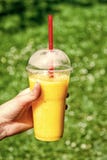 Junges Mädchen, das gutes gesundes Frühstücksfrucht Smoothiegetränk hält lizenzfreies stockbild Junges Mädchen, das gutes gesundes Frühstücksfrucht Smoothiegetränk hält lizenzfreies stockbild