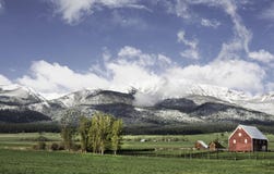 Juni snö, Wallowa berg royaltyfria foton Juni snö, Wallowa berg royaltyfria foton