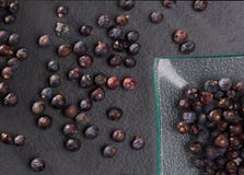 Juniper berries macro detail closeup on black Royalty Free Stock Photography Juniper berries macro detail closeup on black Royalty Free Stock Photography