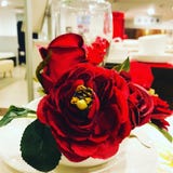 Lovely red roses on dining royalty free stock images Lovely red roses on dining royalty free stock images