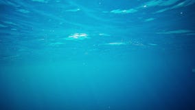 Under Water Dark Loop Stock Footage - Video: 35640960