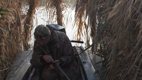 Jägaren jagar ner leken, laddningarna vapnet och forsarna arkivfilmer Jägaren jagar ner leken, laddningarna vapnet och forsarna arkivfilmer