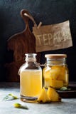 Jäst mexikansk ananas Tepache Hemlagat rått kombuchate med ananas Sund naturlig probiotic smaksatt drink arkivbild Jäst mexikansk ananas Tepache Hemlagat rått kombuchate med ananas Sund naturlig probiotic smaksatt drink arkivbild