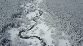 4K Vlucht boven wilde windende rivier in bevroren bos bij mistig weer Luchtpanorama van mooie de wintervallei stock video 4K Vlucht boven wilde windende rivier in bevroren bos bij mistig weer Luchtpanorama van mooie de wintervallei stock video