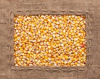 Kader van jute met graan wordt gemaakt dat Stock Afbeeldingen Kader van jute met graan wordt gemaakt dat Stock Afbeeldingen