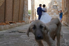 Kahramanmaras, Turquie 19 juin 2018 : Vue arrière des jeunes mariés photo libre de droits Kahramanmaras, Turquie 19 juin 2018 : Vue arrière des jeunes mariés photo libre de droits