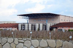 Kakheti, Georgia 3-ье марта 2015: Винодельня Kinzmarauli - магазин, танки и виноградник продукции Грузия стоковое изображение rf Kakheti, Georgia 3-ье марта 2015: Винодельня Kinzmarauli - магазин, танки и виноградник продукции Грузия стоковое изображение rf