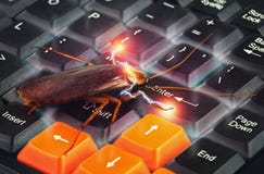 Kakkerlak die op toetsenbord beklimmen die over computer voor te stellen van virus wordt aangevallen royalty-vrije stock afbeelding Kakkerlak die op toetsenbord beklimmen die over computer voor te stellen van virus wordt aangevallen royalty-vrije stock afbeelding