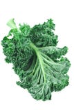 Kale fotografia de stock royalty free