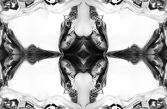 Kaleidoscope. Abstract montage of black-and-white portrait on white background.. stock photo Kaleidoscope. Abstract montage of black-and-white portrait on white background.. stock photo