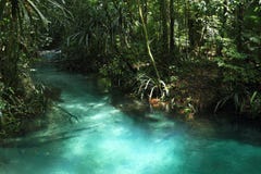 Kali biru Warsambin - Blue River in Raja Ampat