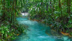 Blue river in the jungle