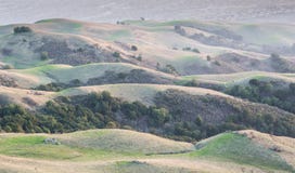 Kalifornien Rolling Hills und Silicon Valley-Hintergrund stockbilder Kalifornien Rolling Hills und Silicon Valley-Hintergrund stockbilder
