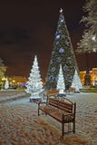 Kaliningrad, Rosja Olśniewające jedliny i nowego roku drzewo w wieczór przy zwycięstwem Obciosują zdjęcie royalty free Kaliningrad, Rosja Olśniewające jedliny i nowego roku drzewo w wieczór przy zwycięstwem Obciosują zdjęcie royalty free