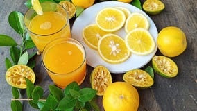 kall orange fruktsaft i ett exponeringsglas och nya orange stycken p? en platta som ?r klar att tyckas om royaltyfri bild kall orange fruktsaft i ett exponeringsglas och nya orange stycken p? en platta som ?r klar att tyckas om royaltyfri bild