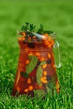 Kalte Limonade auf grünem Gras im Sommer stockfotos Kalte Limonade auf grünem Gras im Sommer stockfotos
