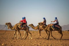 Kamelhusvagn med turister som g?r till och med Sahara Desert royaltyfri bild Kamelhusvagn med turister som g?r till och med Sahara Desert royaltyfri bild