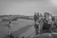 Kamelrittöken av Rajasthan, Indien arkivbild Kamelrittöken av Rajasthan, Indien arkivbild