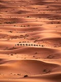 Kamelwohnwagen in der Sahara-Wüste Kamelwohnwagen in der Sahara-Wüste