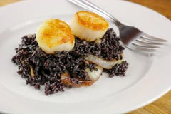 Kamm-Muscheln mit schwarzem Reis und karamellisierten Zwiebeln stockbilder Kamm-Muscheln mit schwarzem Reis und karamellisierten Zwiebeln stockbilder