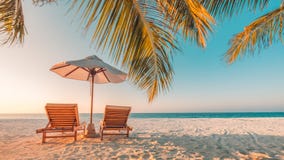 Kamm-MuschelSeashell auf Rosa Schöne Strandlandschaft Tropische Naturszene Palmen und blauer Himmel Sommerferien und Ferienkonzep lizenzfreie stockfotografie Kamm-MuschelSeashell auf Rosa Schöne Strandlandschaft Tropische Naturszene Palmen und blauer Himmel Sommerferien und Ferienkonzep lizenzfreie stockfotografie