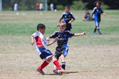 Kamp för ungdomfotbollfotbollsspelare för bollen Arkivfoton Kamp för ungdomfotbollfotbollsspelare för bollen Arkivfoton