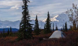 Kamperend in het Nationale park van Denali, die MT Mckinley onder ogen zien stock foto's Kamperend in het Nationale park van Denali, die MT Mckinley onder ogen zien stock foto's