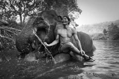 KANJANABURI,THAILAND-JANUARY 30 : Mahout shows playing with an elephant in a river at Sangkhlaburi, Kanjanaburi,Thailand on Januar Stock Images KANJANABURI,THAILAND-JANUARY 30 : Mahout shows playing with an elephant in a river at Sangkhlaburi, Kanjanaburi,Thailand on Januar Stock Images