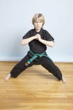karate νεολαίες σπουδαστών στοκ φωτογραφίες με δικαίωμα ελεύθερης χρήσης karate νεολαίες σπουδαστών στοκ φωτογραφίες με δικαίωμα ελεύθερης χρήσης