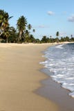 Karibischer Strand stockbild Karibischer Strand stockbild