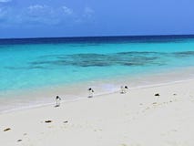 Karibisches Meer, Los Roques Ferien im blauen Meer und in den verlassenen Inseln stockfotografie Karibisches Meer, Los Roques Ferien im blauen Meer und in den verlassenen Inseln stockfotografie